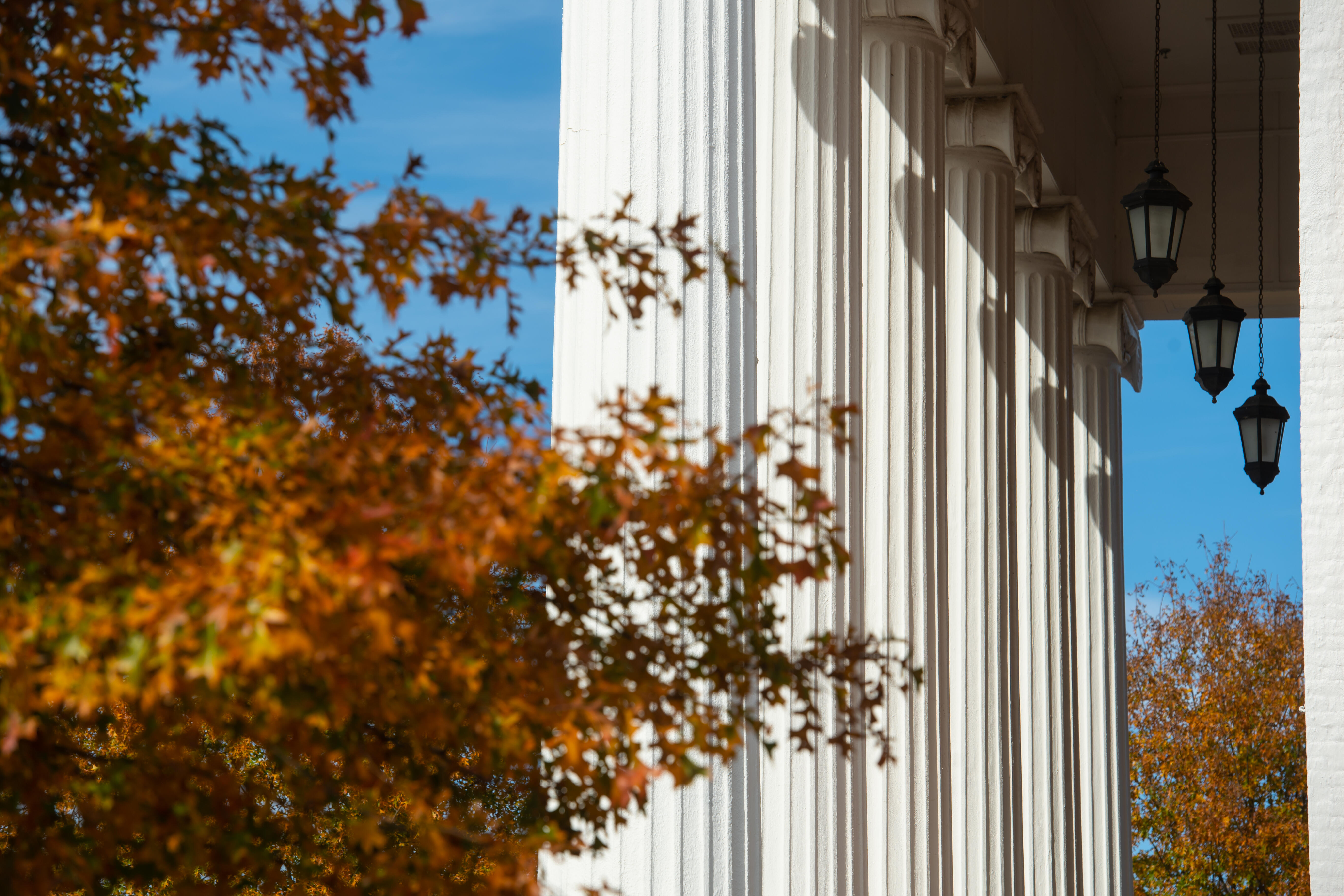 Columns in the sunshine